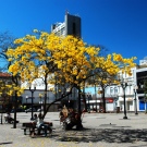 largo do rosario 01 ACCosta