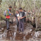 Estudantes-nos-mangues-do-Núcleo-Picinguaba-–-PESM-e-do-PE-Ilha-do-Cardoso